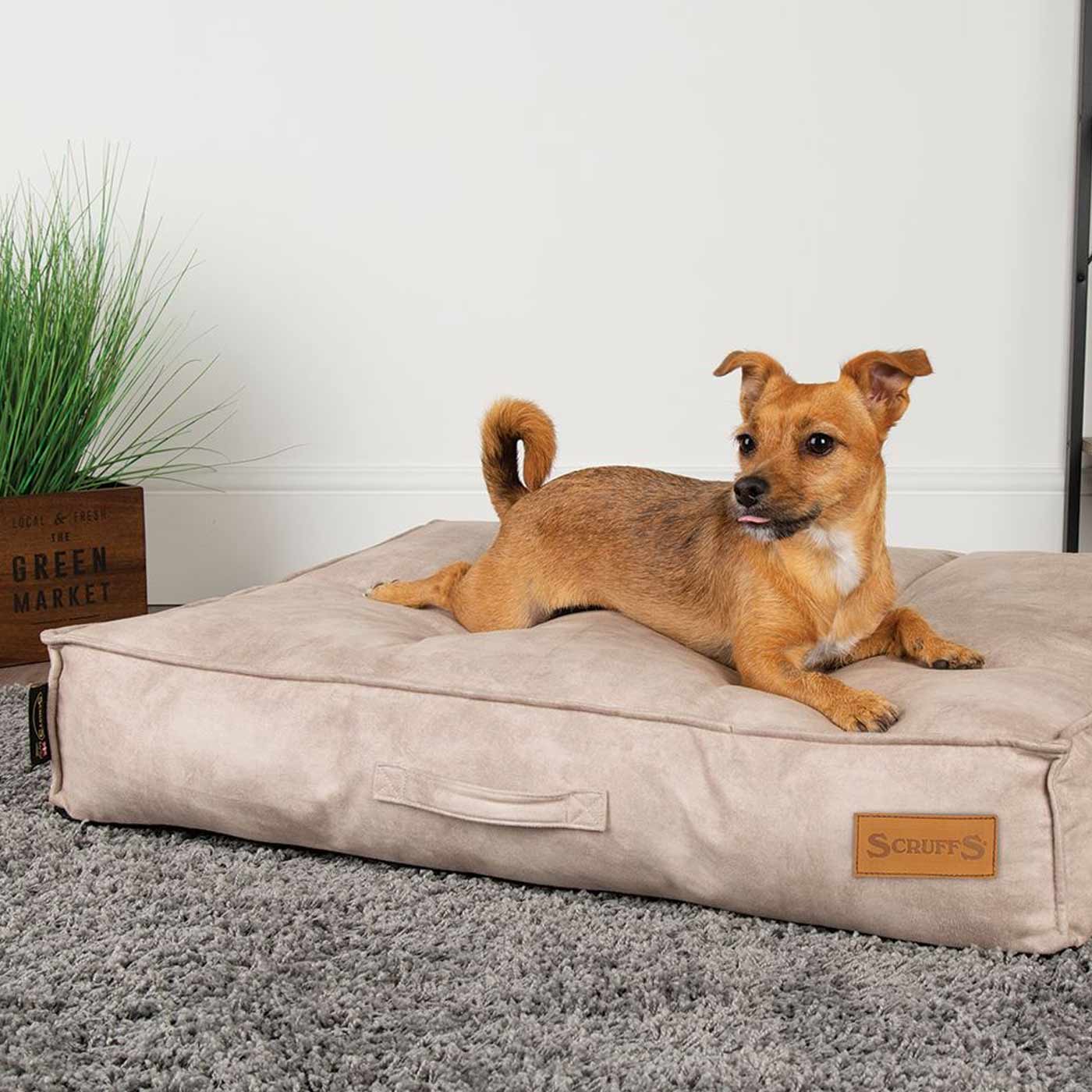 Interpersonal Agnes Gray Thorns reindeer dog bed Habitat boot