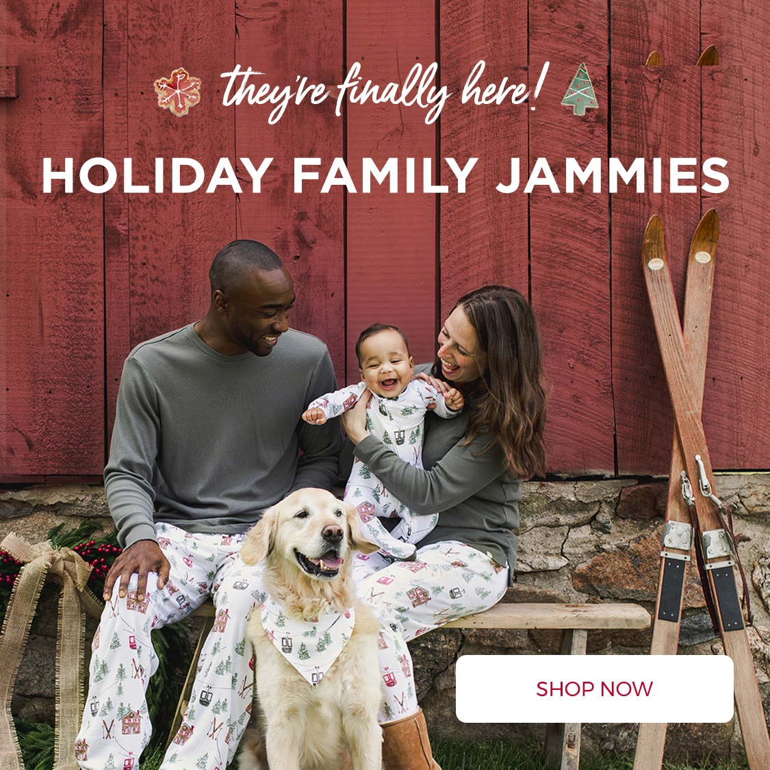 Family Matching Christmas Pajamas | Burt's Bees Baby